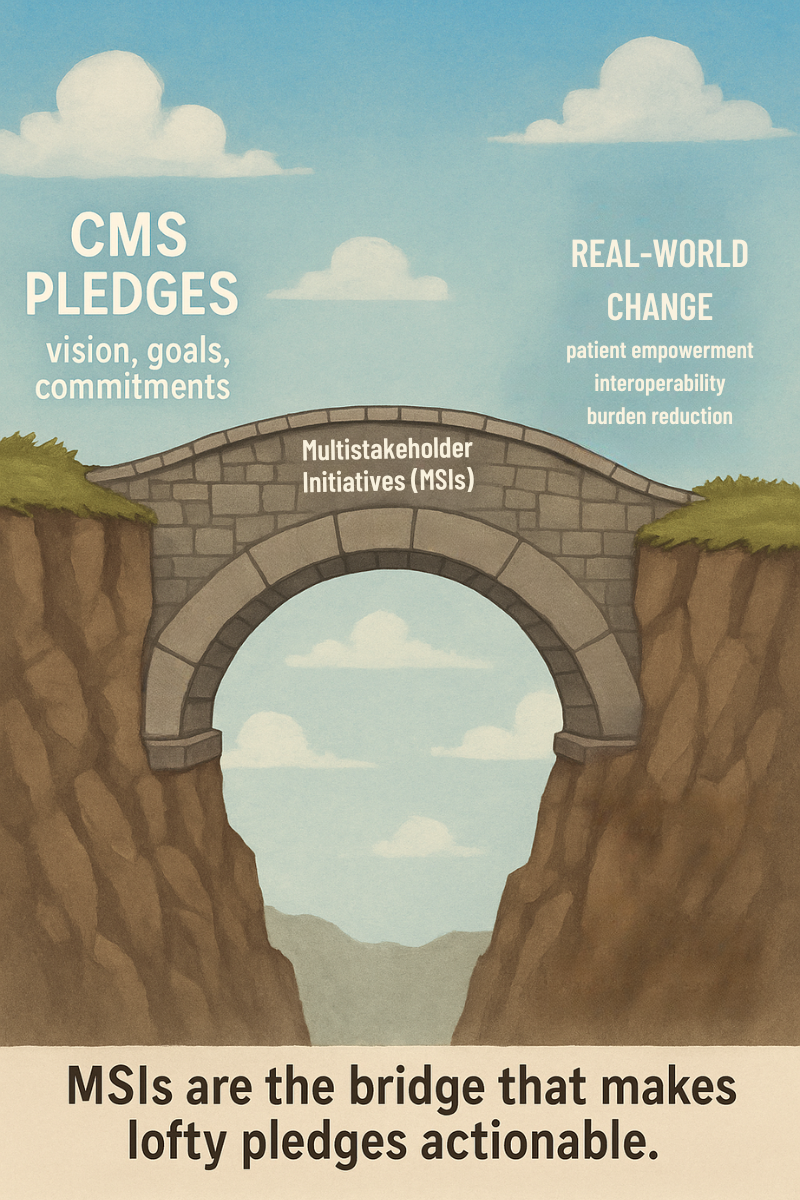 Making the CMS Pledges Real: The Role of Multi-Stakeholder Initiatives