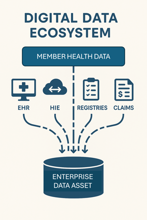 Payer data diagram_blog graphic