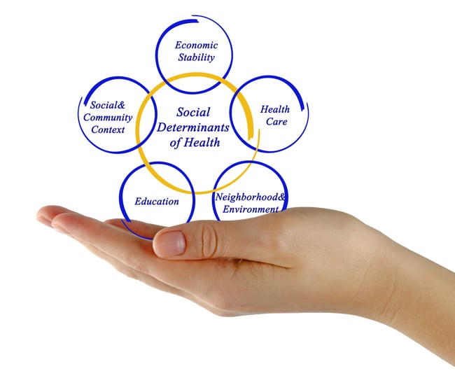 Complete with fit imaginative sociable determined patient. Social determinants of Health. Social determination of Health. Social stability. Images for determinants.